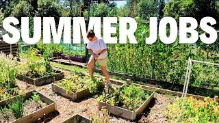 Summer Jobs At The Allotment!