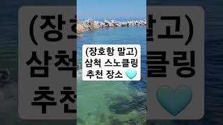 (장호항 말고) 삼척 스노클링 추천 장소 용화방파제 동해 강원도 스노쿨링 물놀이 휴가 여름 수영 낚시