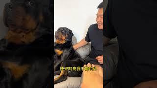 哈哈哈哈哈变脸真快 #拉登与阿亮的日常生活
