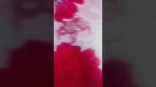 Ye video to viral h #youtubeshorts#viralvideo#vlogs#shipra#gupta