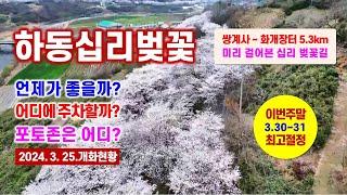 하동 십리벚꽃 3.25. 개화현황, 3.30~4.2 최고 절정 예상, 주차장, 포토존 안내 -해산강트래블(海山江 travel)