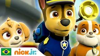 Paw Patrol | Patrulha Canina sempre ajudando!  | Nick Jr.