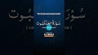 #short #reel #ayat #islam #islamic #trend #cats #motivation #tiktok #quran #pets #quo...