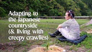 How we are adapting to countryside life in Japan (& befriending the creepy crawlies)