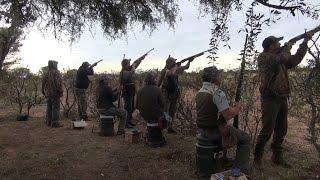 Dove hunting, Cordoba, Argentina, 2013