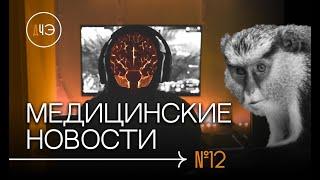 Вирус Марбург. Польза видеоигр. Почему женщины живут дольше? | Новости #12