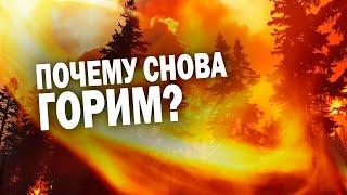 Природные пожары в Забайкалье: почему так сильно горим?