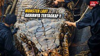 Gempar!! Para Nelayan Terkejut, Tiba-Tiba Ular Terbesar di Dunia Muncul Dari Dasar Laut...