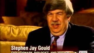 Stephen Jay Gould interview on Evolution