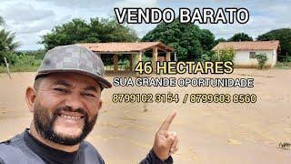 VENDO ESSA MARAVILHA 46 HECTARES RICO EM FRUTAS 8799102 3154/ 8799603 8560