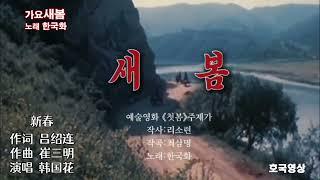 추억의 영상가요 - 새봄  (노래 한국화  1982년)