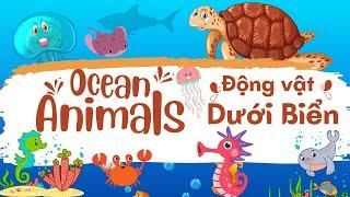 Con Gì Đây | Các Con Vật Sống Dưới Biển | Ocean Animals | Song Ngữ