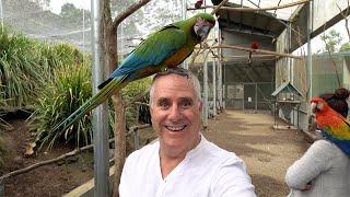 Maleny Bird World Visit