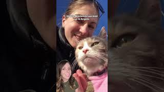 She couldn't let her grandfather's cat go to the shelter. Then that cat changed everything.