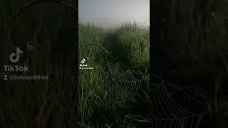Лунная долина