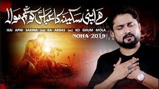 Nohay 2019 | Hai Apni Sakina Ka Abbas Ko Ghum | Syed Raza Abbas Zaidi | Mola Abbas New Noha 2019