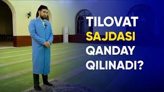 Tilovat sajdasi qanday qilinadi? | Ahrorjon Abdulvohid | #tilovat #sajda #namoz