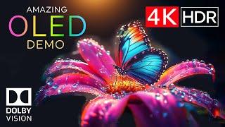 OUTSTANDING  4K HDR 120 FPS Dolby Vision - 4K Video ULTRA HD