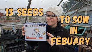 13 Seeds To Sow In Mid February For A Great Harvest