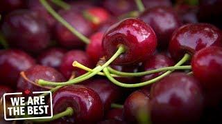 Sweet cherries from the Okanagan Valley: B.C.'s best kept secret | We Are The Best