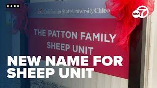 Wes Patton's legacy celebrated with renaming of university farm sheep unit