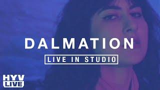 DALMATION & PARV0 IN STUDIO | HYV LIVE: EP 4