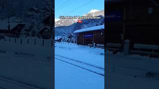 Snowy Railway Station at Grindelwald Switzerland  #grindelwald #switzerland #swiss #swissalps