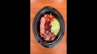 Healthy crockpot dog food  #shorts