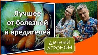 АВГУСТ Боремся со слизнями, паршой и глупостями