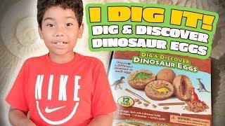 I DIG IT! DIG & DISCOVER DINOSAUR EGGS!