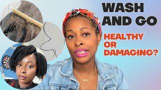 WASH & GO on Type 4 Hair : Healthy or Damaging? What You Need to Know |My Go-To  Ana Luisa pieces