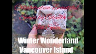 Winter Wonderland Soaps by Glenda Collaboration 2021 Chatty Version