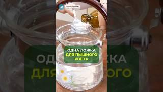 Аптечное средство для роста цветов #сад #огород #дача #садоводство #растения #лайфхаки #цветы