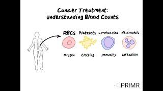 Cancer Treatment - Understanding Blood Counts