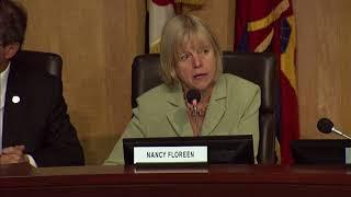 Councilmember Nancy Floreen''s Comments on Bill 28-17