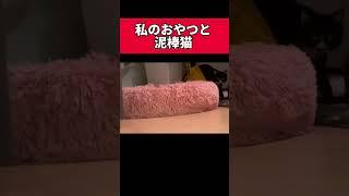 私のおやつと泥棒猫 #shorts