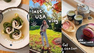 last usa vlog  what i eat, mom's homemade food, chestnut picking, finally getting my korean visa