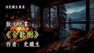 经典散文欣赏《合欢树》作者：史铁生 #文学 #读书 #阅读 #asmr #历史 #故事 #工作氛围 #有声书 #学习氛围