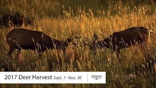 Nebraska's 2017 Fall Deer Harvest Numbers