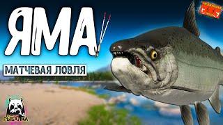 Река Яма, ловля на матчевые удилища . РУССКАЯ РЫБАЛКА 4