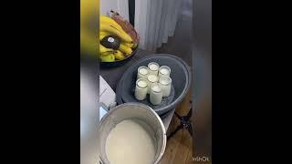 Yoghurt TM6 2 Ways - Thermomix
