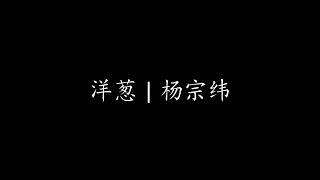 洋葱 | 杨宗纬