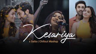 Kesariya x Saibo Mashup | Chillout Heart | Arijit Singh, Shreya Ghoshal | BICKY OFFICIAL