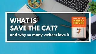 What is Save the Cat? (And why so many writers love it)