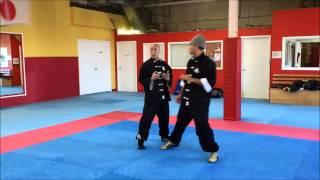 Wing Chun Kung Fu - Chinese Boxing Style