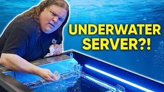 This server lives underwater! - Hypertec Immersion Cooling