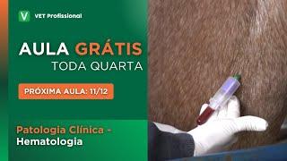 Patologia Clínica - Hematologia