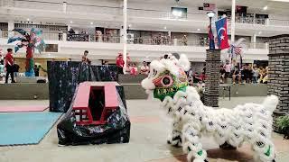 【4K Video】#金狮奖 #柔华武术龙狮体育会 #传统舞狮 #舞狮 #比赛 #TarianSinga #LionDance【 #传统南狮争霸赛2024 #PlazaSentosa】