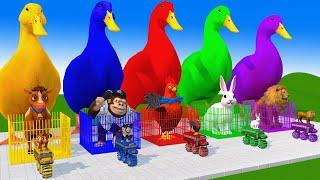 5 Giant Duck Cartoon,Cow,Gorilla,Rabbit,Lion,Monkey,Paint Wild Animals Crossing Fountain Animation