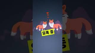 페로몬 향수. 사기 마케팅의 끝판왕! #shorts